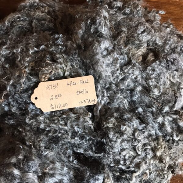 Gotland Fleece #175 Liberty – Namekagon Valley Farm & Studio